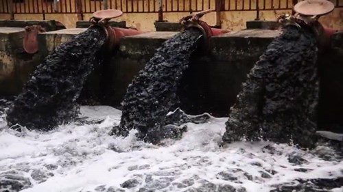 Hà Nội: Dân xã Lam Điền buộc phải dùng nước ô nhiễm đen ngòm tưới rau