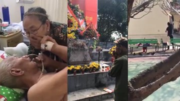 Những clip lay động triệu trái tim cộng đồng mạng Việt năm 2017
