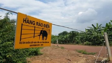 Hàng rào điện ngăn voi rừng đầu tiên của Việt Nam
