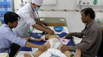 Cha pha thuốc sâu vào sữa cho 3 con uống