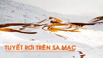 Cảnh tượng kỳ thú: Tuyết rơi trắng xóa sa mạc Sahara