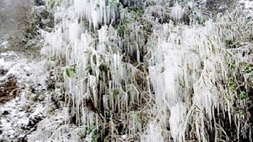Mù Cang Chải bao phủ bởi băng giá