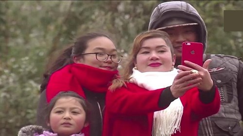 Du khách thích thú ngắm cây cỏ Sa Pa đông cứng trong băng tuyết