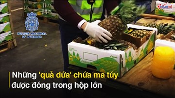 Triệt phá đường dây ma túy triệu đô qua... những quả dứa