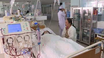 Suy đa phủ tạng vì uống trà sữa