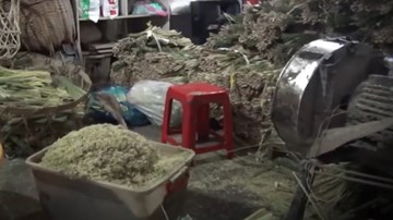 Hãi hùng sả xay trộn hóa chất