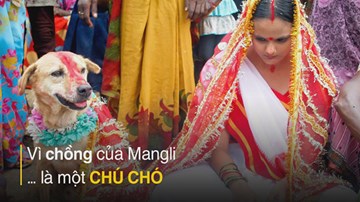 Kỳ lạ tục lệ kết hôn với chó ở Ấn Độ