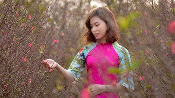 Giới trẻ nô nức chụp ảnh bên hoa đào ngày giáp Tết