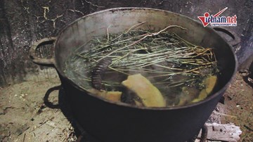 Vì sao cuối năm tắm lá nước mùi già?