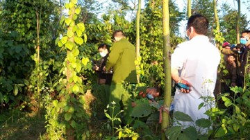 Phụ nữ mang thai chết bí ẩn trong tư thế treo cổ