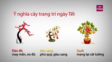 Sự thật thú vị ít ai biết về Tết Nguyên đán