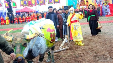 'Vua' 90 tuổi đi cày đầu năm ở lễ Tịch điền