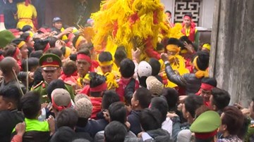 Hàng trăm người lao vào cướp bông cầu mùa ở Vĩnh Phúc