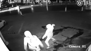 Trộm vô tình ném gạch vào đầu đồng bọn gây 
