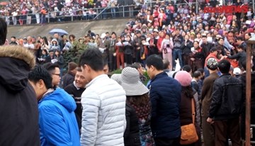 Vạn người phóng sinh 5 tấn cá xuống sông Hồng