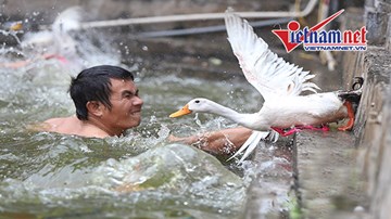 Cười ngả nghiêng xem trai làng Vạn Phúc rẽ nước thi bắt vịt