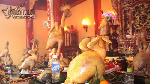 Lạ mắt thế gà quỳ, bay, đứng trên cỗ cúng rằm tháng Giêng