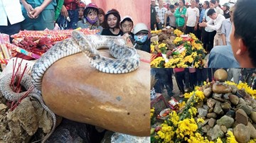 Hai con rắn trên mộ vô danh ở Quảng Bình đã bị bắt
