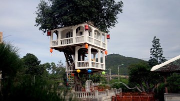 Ngôi nhà 2 tầng trên cây đứng vững sau cơn bão lịch sử