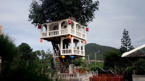 Ngôi nhà 2 tầng trên cây đứng vững sau cơn bão lịch sử