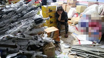 Lô súng kiếm, dụng cụ kích dục của người phụ nữ bị thu giữ