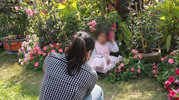 Đằng sau bức ảnh đẹp là vít cành, dẫm hoa ở lễ hội hoa hồng