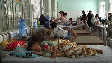 Đồng Nai: Có thêm học sinh nhập viện sau khi uống sữa học đường