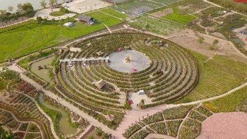 Chiêm ngưỡng mê cung cây 'khủng' nhất Việt Nam mới 'mọc' lên ở Hà Nội