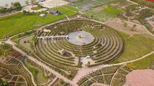 Chiêm ngưỡng mê cung cây 'khủng' nhất Việt Nam mới 'mọc' lên ở Hà Nội