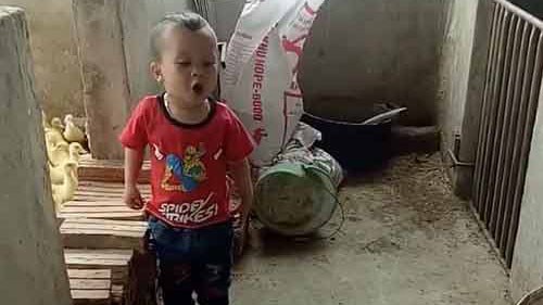 Bé 3 tuổi cãi nhau siêu đáng yêu với chó khiến dân mạng share chóng mặt