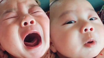 Em bé giả vờ khóc ăn vạ khiến người xem bật cười