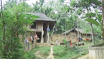 Hình phạt cho bà lang phá thai bằng que nứa