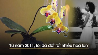 Người đàn ông đốt hàng nghìn cành lan quý vì vợ quá cố