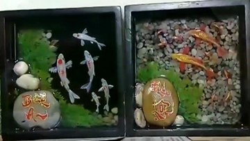 Chàng trai Sài thành vẽ tranh cá 3D sống động như thật