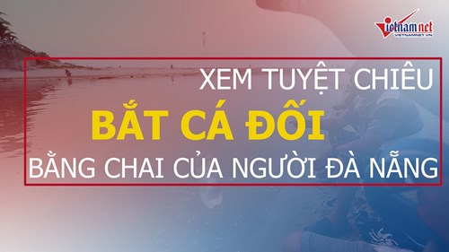 Xem tuyệt chiêu bắt cá đối bằng chai của người Đà Nẵng