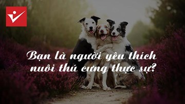 Thử lòng người thích nuôi cún cưng và cái kết bất ngờ