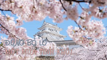 Đến Nhật Bản tháng 4, tìm chốn thần tiên ngắm hoa anh đào