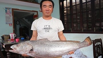 Quảng Nam: Ngư dân bắt được cá lạ dài hơn 1,15m
