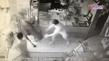 Trâu điên lao thẳng vào tiệm vàng, điên cuồng phá phách
