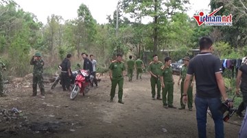 Vụ bắt trùm gỗ lậu Phượng 'râu': Đình chỉ 4 cán bộ biên phòng