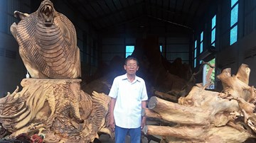 Miễn cưỡng mua gốc cây 35 triệu, nào ngờ được báu vật 35 tỷ