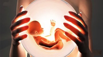 Canh trứng để sinh con trai là vô ích?