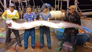 Ngư dân bắt được cá hố khổng lồ nặng gần 1 tạ, 4 người nâng mới xuể