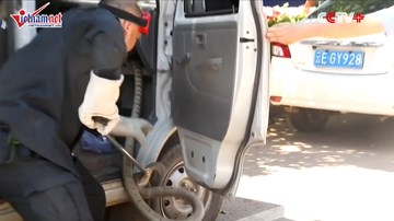 Hổ mang chúa nọc độc chết người ẩn trong xe khiến tài xế chết khiếp