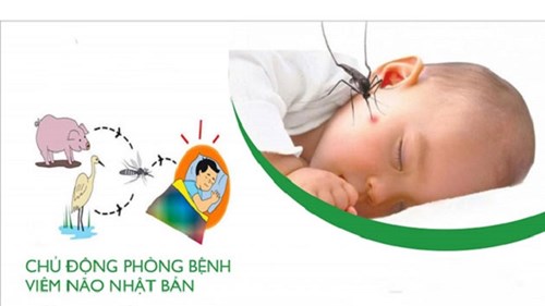 Mùa hè, cha mẹ cảnh giác bệnh viêm não Nhật Bản ở trẻ