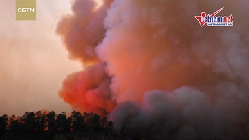 Hàng nghìn người tại Colorado (Mỹ) sơ tán vì cháy rừng dữ dội