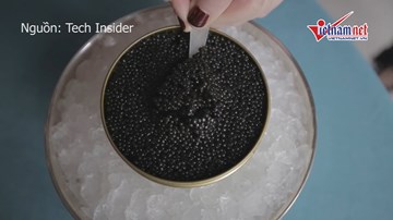 Vì sao trứng cá tầm được gọi là 'vàng đen' với giá bán 'trên trời'?