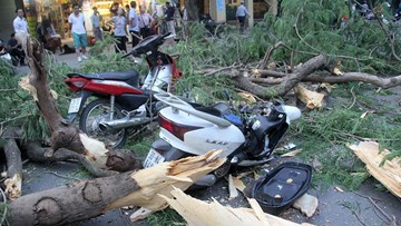 Hà Nội: Cây đổ đè 5 người trên phố Quán Sứ, 2 người bị thương nặng