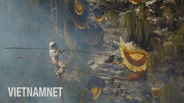 Bộ tộc cổ xưa 'thách thức tử thần' lấy mật ong trên đỉnh thế giới