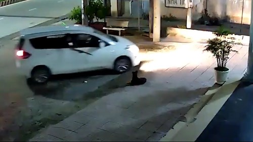 Cẩu tặc đi ô tô bắt trộm chó nhanh như chớp